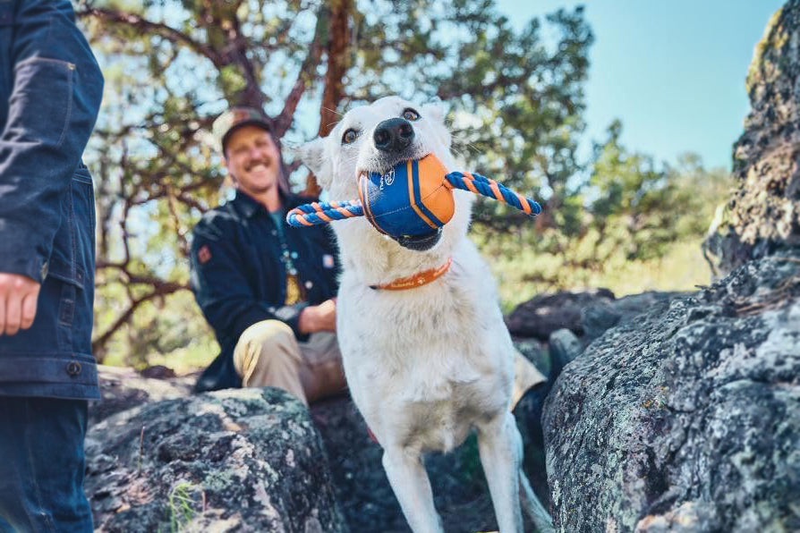 Dog playing with a ball and rope toy outdoors, surrounded by trees and rocks.