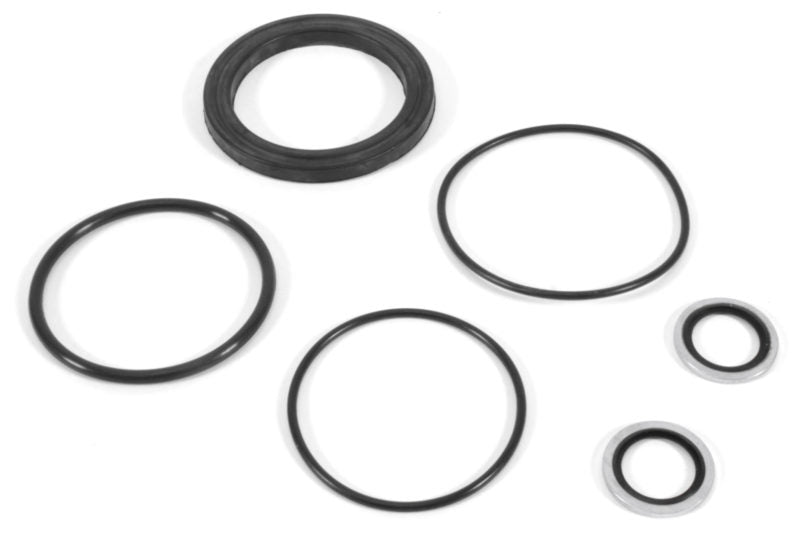 Oil cooler O-ring kit featuring various sizes of black rubber O-rings for sealing and maintenance applications.