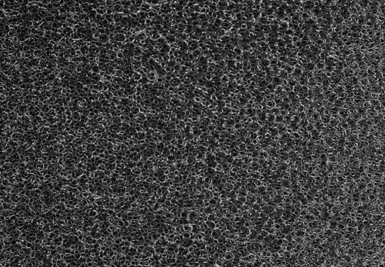 Replacement Foam Filter for WRX/STI